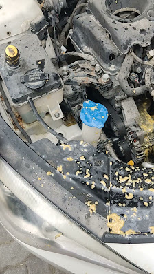 Smart Mechanic Auto Repair Workshop - Videos