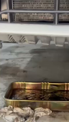 Jasum car main Ajman - Videos