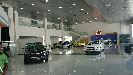 LSC | Sharjah - Videos