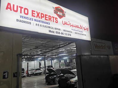 Auto Experts Vehicle Maintenance - Exterior